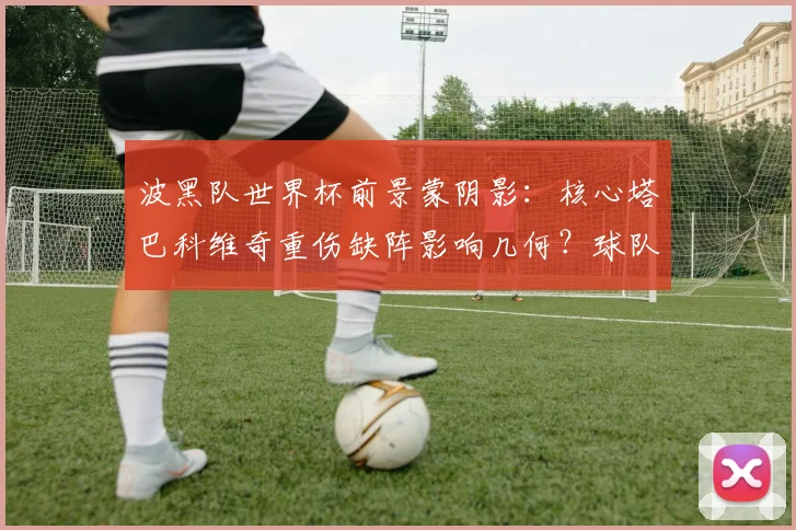 波黑队世界杯前景蒙阴影:核心塔巴科维奇重伤缺阵影响几何?球队阵容如何调整?