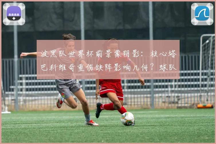 波黑队世界杯前景蒙阴影:核心塔巴科维奇重伤缺阵影响几何?球队阵容如何调整?